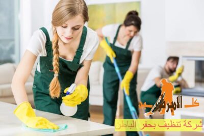شركة تنظيف باحد رفيدة